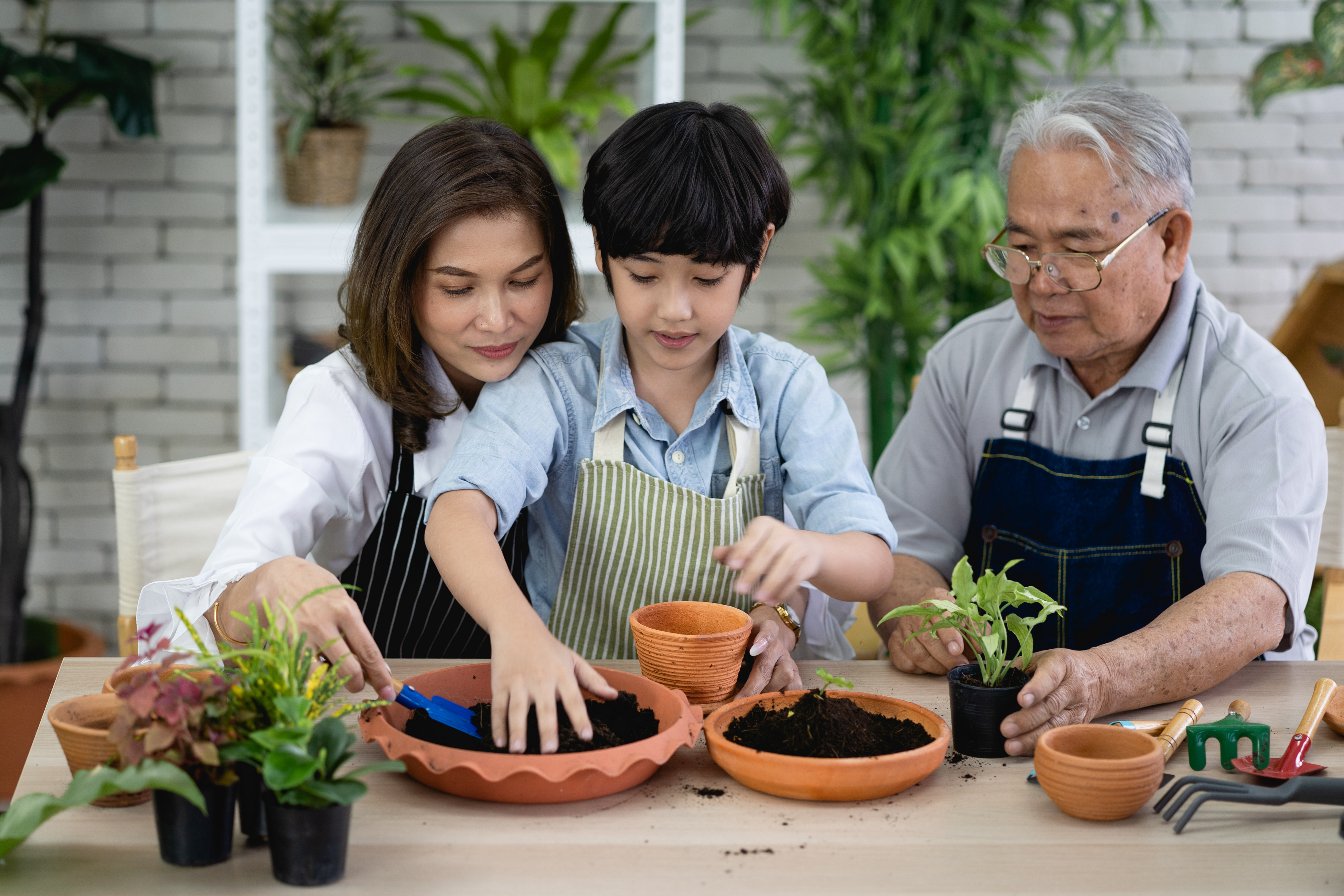 Happy family gardening together in the garden, grandfather grandson and woman taking care of nature.