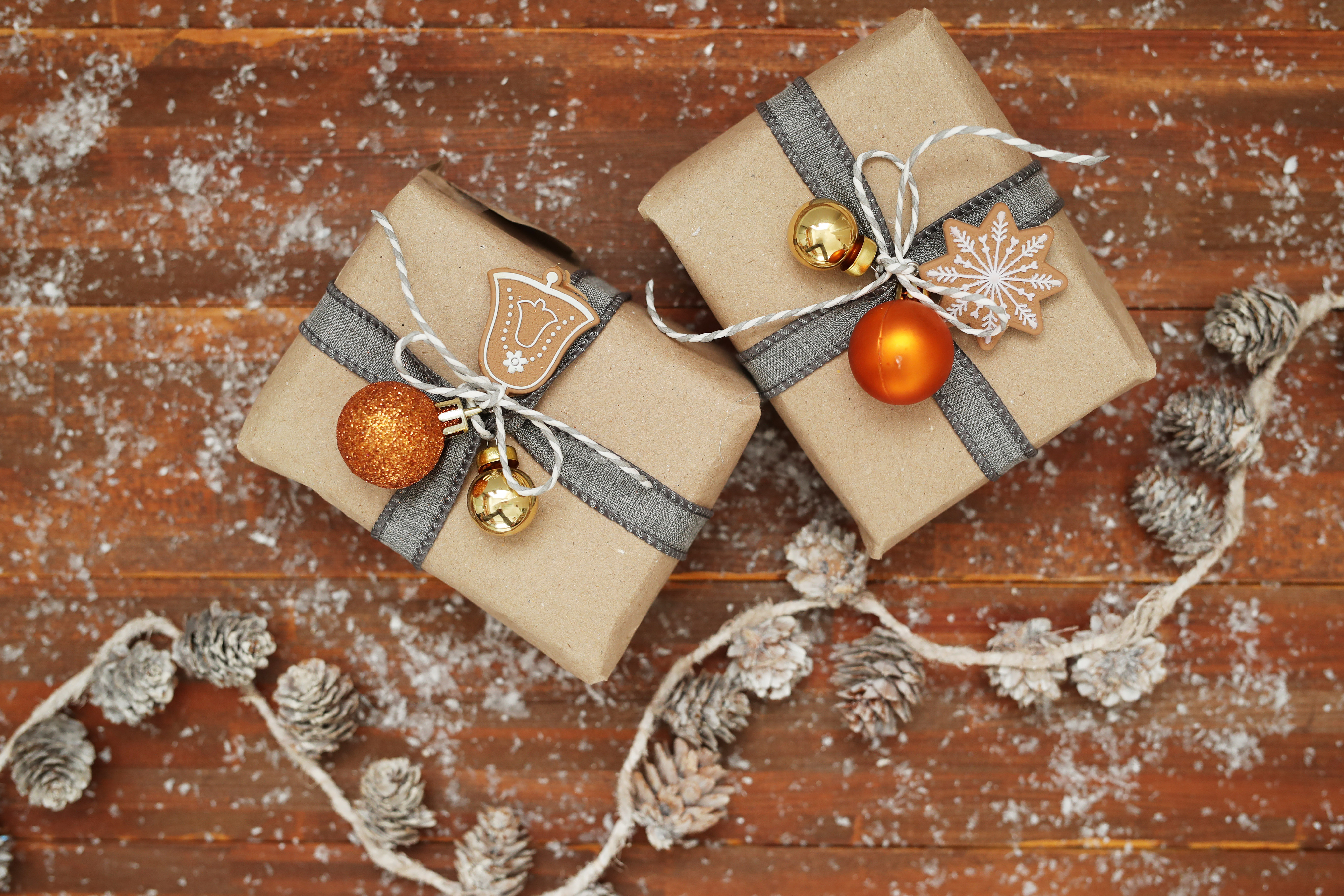 Photo by RACOOL from Freerange Stock